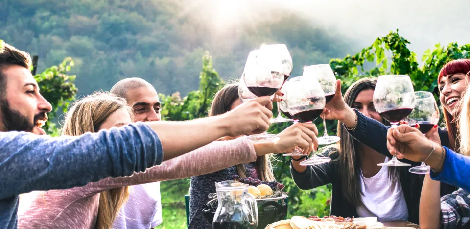 Friends toasting with red wine in a vineyard at harvest time
