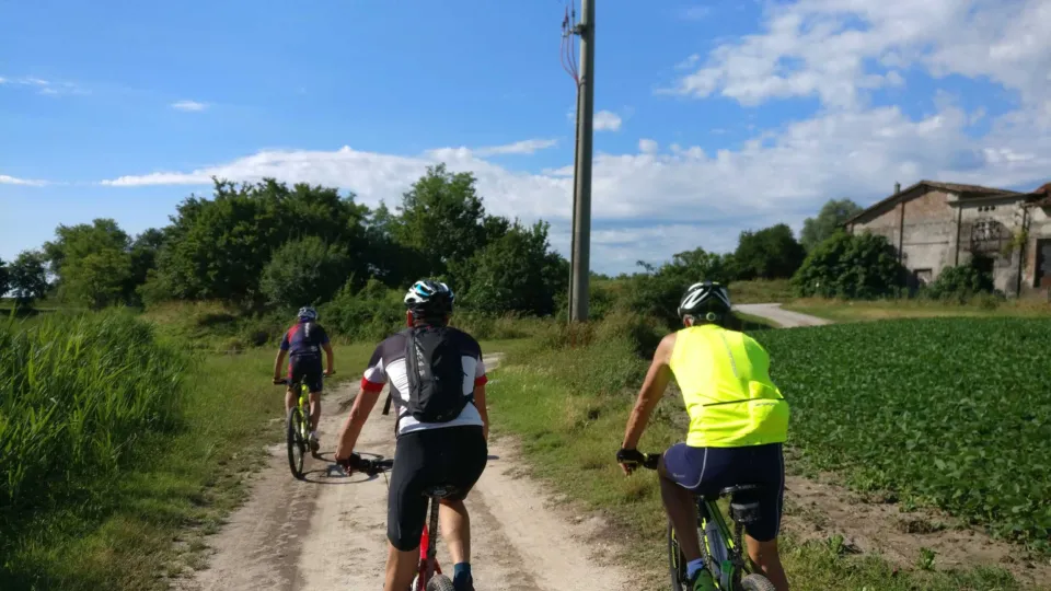 Three cyclists riding a gravel country road through the green Veneto countryside