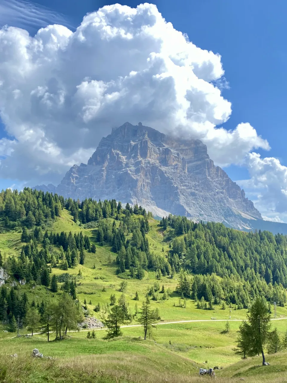 Monte Pelmo rising above larch woods and alpine pastures in the Veneto Dolomites