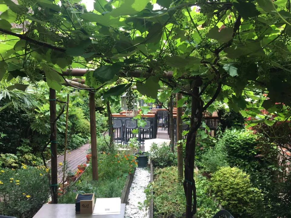 Garden tables under a vine pergola at a traditional restaurant