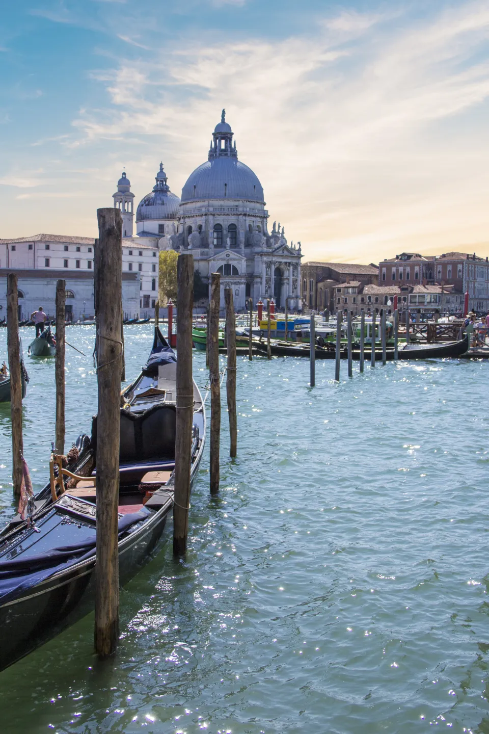 Gondolas moored on the Grand Canal in front of Santa Maria della Salute